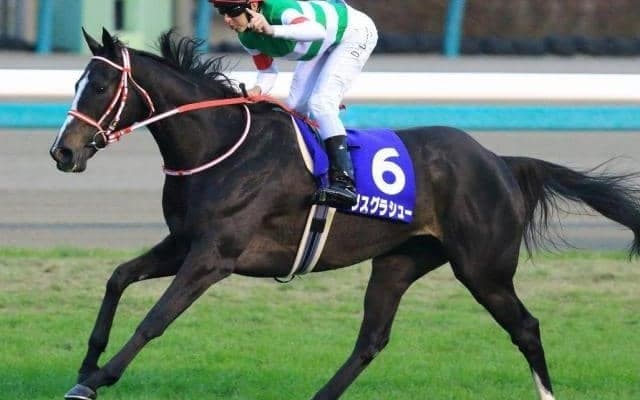 叔母は名牝リスグラシュー ルージュダリアがデビュー勝ちなるか