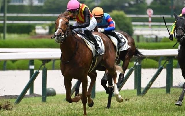 【今日の注目ポイント】新潟2歳Sと札幌でキーンランドC