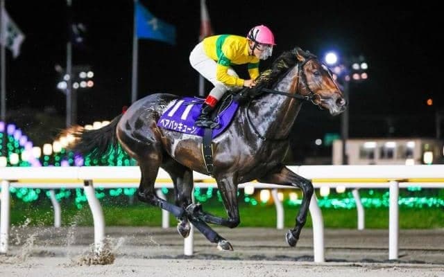 【川崎・スパーキングサマーC枠順】無傷5連勝中のベアバッキューンは6枠6番 7頭立て