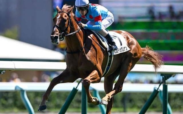 【札幌5R新馬戦結果】ミスティックレナンが逃げ切り勝ち クラックスマン産駒のJRA初勝利