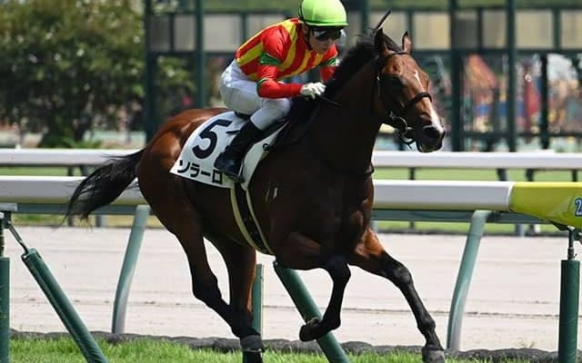 【中京5R新馬戦結果】モーリス産駒ソラーロが押し切りV