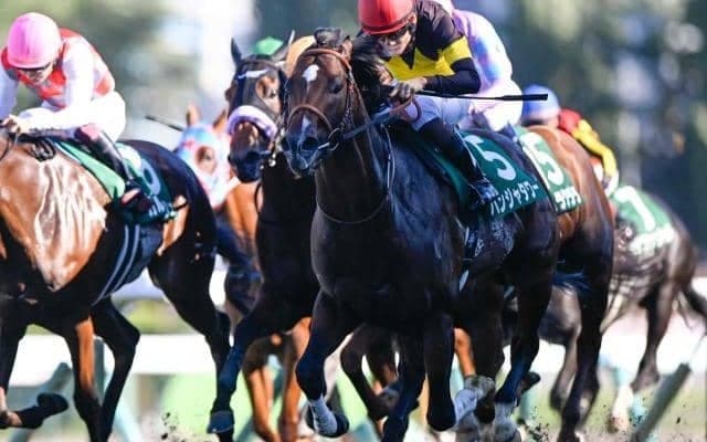 【キーンランドC結果】3歳マイル王パンジャタワーが貫禄のV！ 松山弘平騎手はJRA全10場重賞制覇を達成