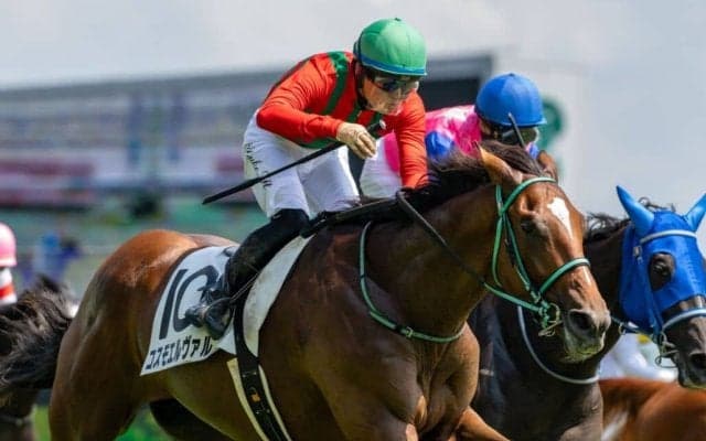 【新馬/新潟5R】コスモエルヴァルVで原優介騎手はJRA通算100勝達成