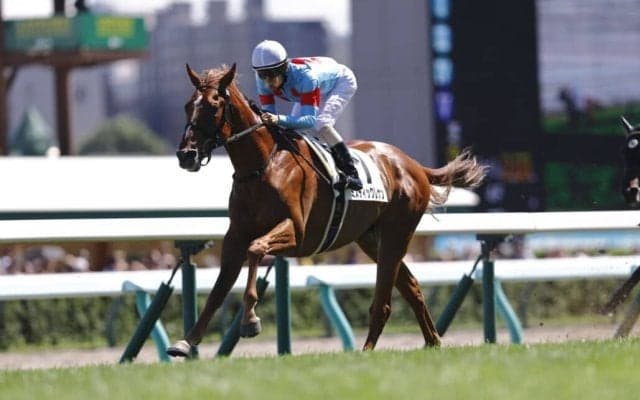 【新馬/札幌5R】外国産ミスティックレナンがデビューV