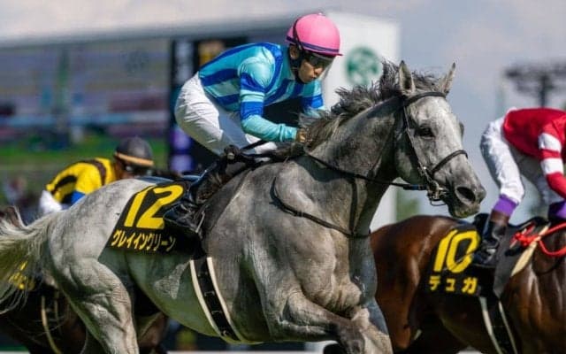 【朱鷺S】ディープ産駒グレイイングリーンが約3年半ぶりV