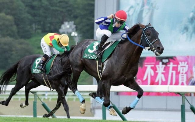 【盛岡・OROカップ】9歳馬シャイニーロックが鮮烈V！渡邊竜也騎手と掴んだ会心の重賞制覇