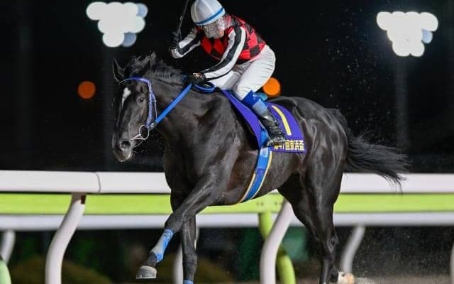 【船橋・フリオーソLC枠順】オープン圧勝のサントノーレは1枠1番