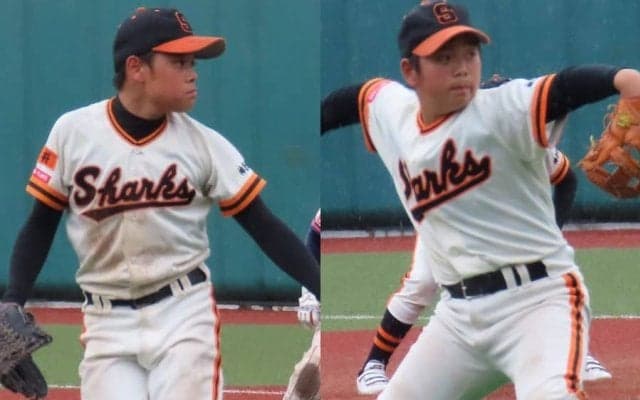 過去最多1013人から選ばれた精鋭　「DeNAジュニア」16人が決定…全国出場者ら逸材ぞろい