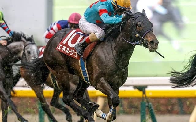 【新潟記念想定騎手】エネルジコはC.ルメール騎手、クイーンズウォークは川田将雅騎手