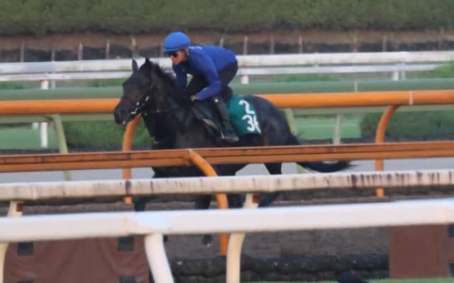 友道厩舎の2歳世代が動き出す レッドラージャが日曜中京で初陣/関西馬メイクデビュー情報