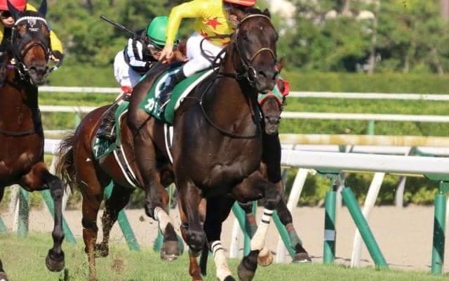 カラテが魅せた前走16着からの復活劇 22年の新潟記念を振り返る