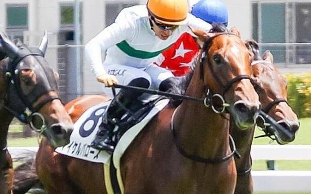 【中京2歳S】「2代目」マイケルバローズ 初代が果たせなかった重賞制覇なるか