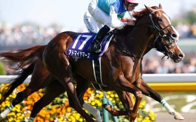 アドマイヤマーズの母父でもある「メディシアン」 血統表でよく見る名馬を深掘り