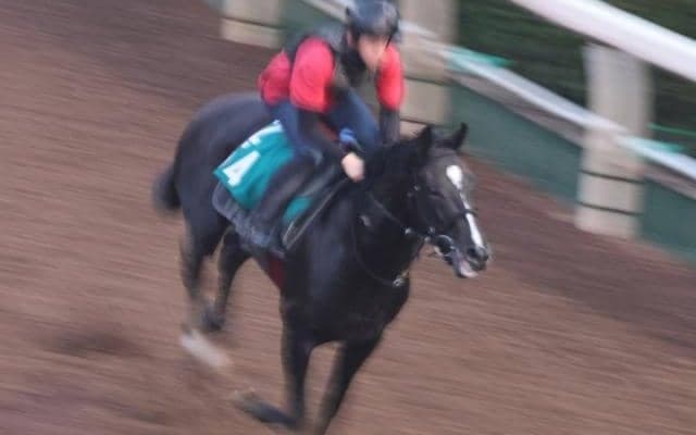 バドリナートなど、先週の入厩情報/栗東トレセンニュース