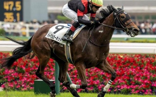 【中京2歳S】一族に22年ぶりのタイトルを届けるか パープルガーネットが無敗戴冠狙う