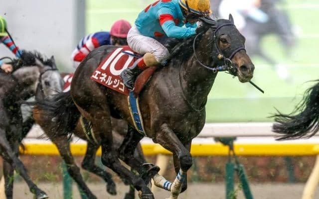 【新潟記念予想オッズ】エネルジコが予想1番人気