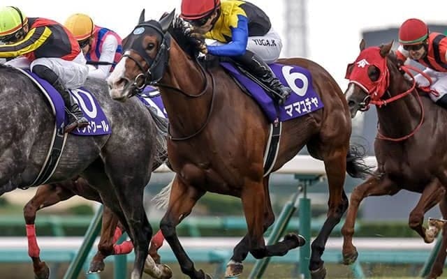 【セントウルS想定】ママコチャやトウシンマカオなど14頭