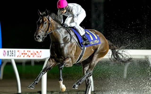 「9戦8勝馬」vs「無傷5連勝馬」 ブリーダーズGCで注目の対決