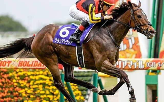 グランアレグリアの初仔が芝1400mで初陣 同距離デビューから中長距離GIを制した馬は？