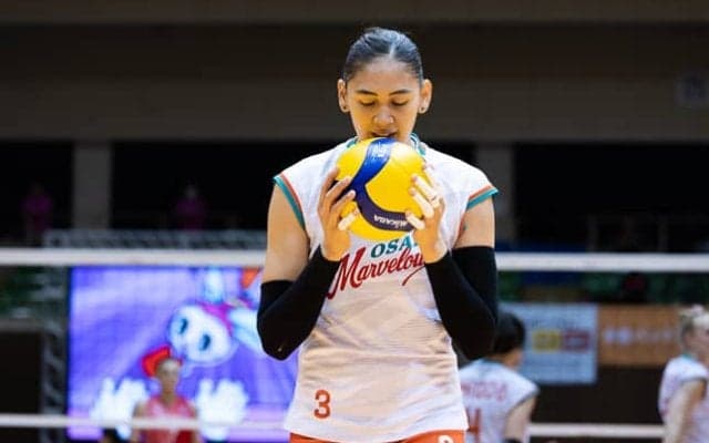 【バレー】蓑輪幸、デンソーエアリービーズに加入！ ロザマリアもプレー継続　SV女子