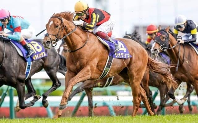 22年皐月賞覇者ジオグリフが抹消 今後は優駿SSで種牡馬入りの予定