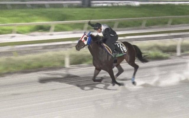 TCK所属ディクテオン、韓国コリアカップへ出走