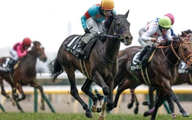 【新潟記念出走馬・騎手確定】エネルジコ＆C.ルメール騎手、クイーンズウォーク＆川田将雅騎手など17頭