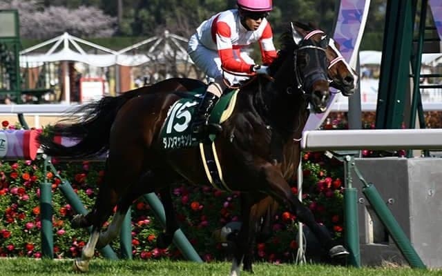 「ウマ娘」藤田晋オーナーの1.6億円馬 カモンメーンがデビュー勝ちなるか