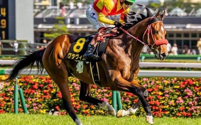 【白川郷S】兄姉に海外G1馬が2頭 グラヴィスが連勝でオープン入りなるか