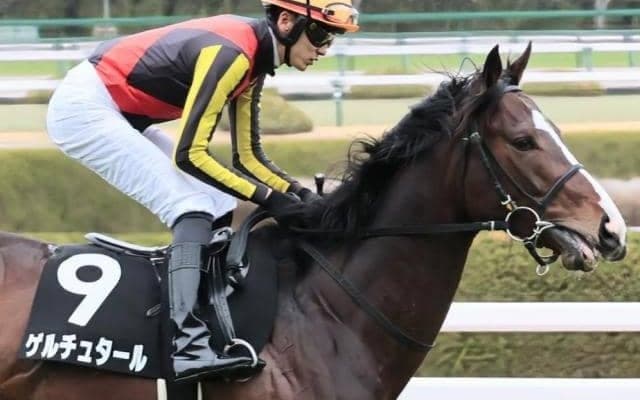 【日本海S】青葉賞3着のゲルチュタールが始動 菊花賞に弾みをつけるか