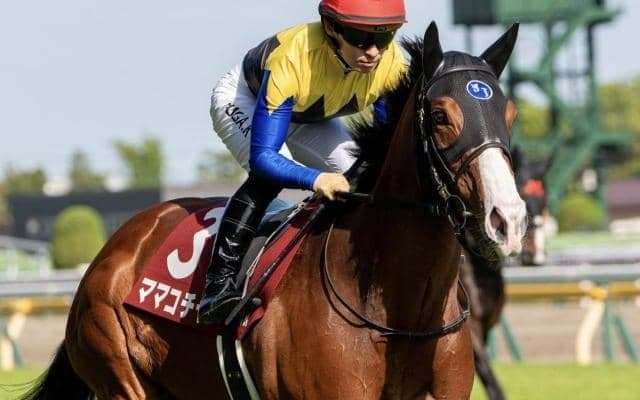 【セントウルS想定馬・騎手】ママコチャ、トウシンマカオなど15頭