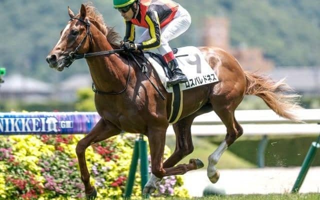 【札幌2歳S想定馬・騎手】ロスパレドネス、スマートプリエールなど13頭