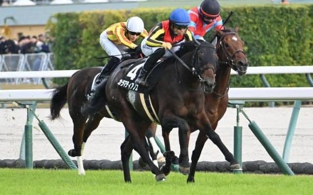 【京成杯AH想定馬・騎手】カラマティアノス、コントラポストなど17頭