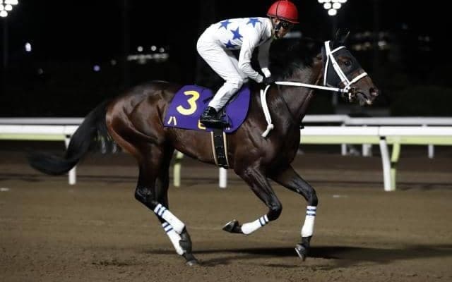 【今日の注目ポイント】名古屋城Sと新潟でグランアレグリアの初仔がデビュー