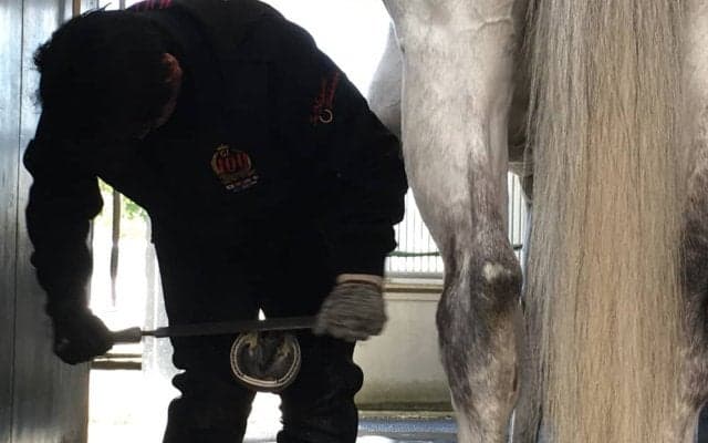 【装蹄師・西内荘コラム】酷暑のトレセンと門別、今週の好感触馬