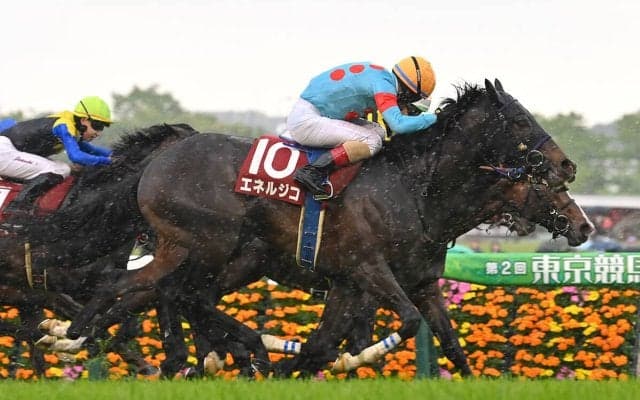 【競馬予想】新潟記念と相性抜群の血統は？　「直近７年で６勝」の好成績を引き継ぎそうな２頭に注目