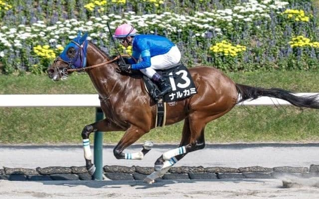 【盛岡・不来方賞枠順】前走5馬身差Vのナルカミは8枠12番 出走12頭