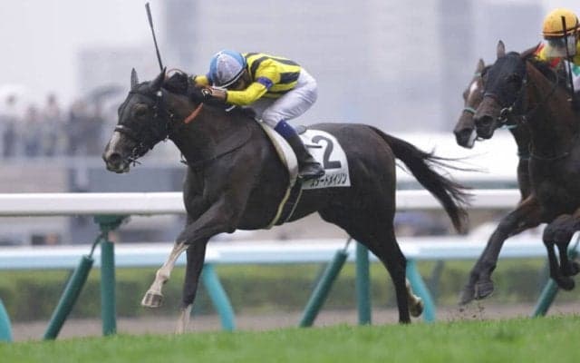 【札幌6R】良血スタードメイソンがゴール前で抜け出す…13番人気の低評価を覆す