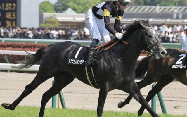 新潟芝は圧倒的に外枠有利 14番のアスクカムオンモアで勝負！