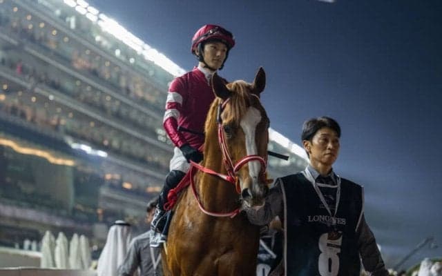 シンエンペラー、現地アイルランドに到着…9月13日アイリッシュチャンピオンSへ