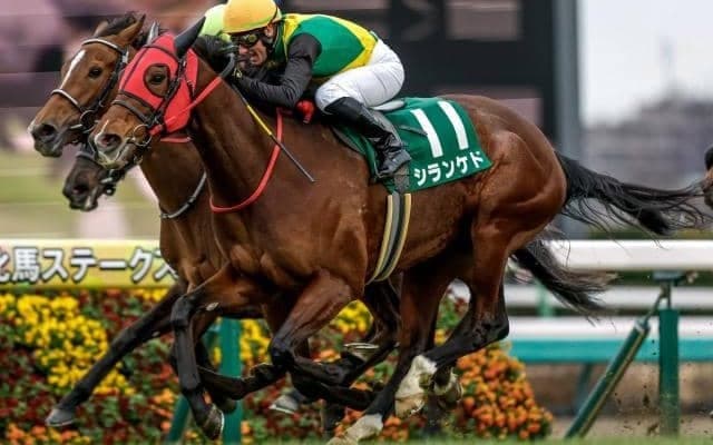 【今日の注目ポイント】開催最終日に新潟記念と中京2歳S