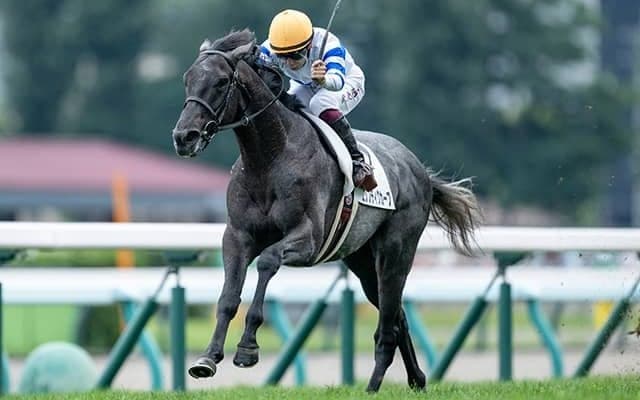 【札幌5R新馬戦結果】レイデオロ産駒エリプティクカーブが押し切りV