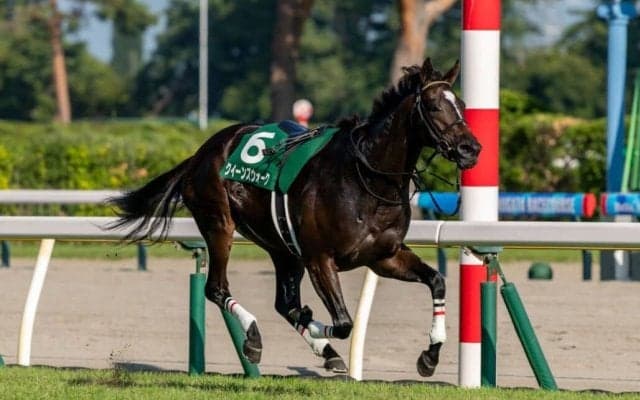 【新潟記念】クイーンズウォークが馬場入場でアクシデント、まさかの競走除外