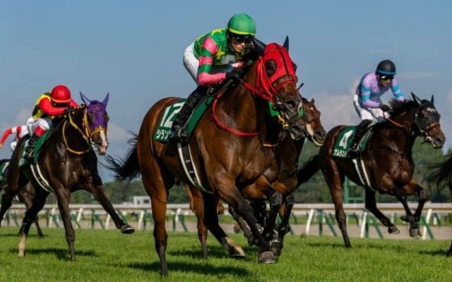 【新潟記念】シランケドの大外一気が炸裂！…エネルジコは2着