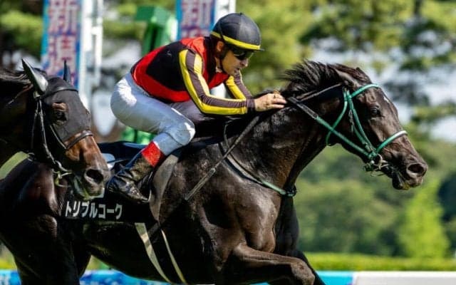 【瓢湖特別】良血トリプルコークが2勝目