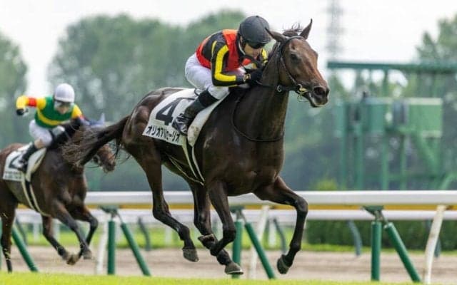 【新潟4R】レイデオロ産駒 オリオアルセーリオ人気に応える