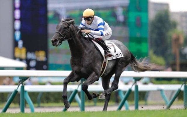 【新馬/札幌5R】レイデオロ産駒 エリプティクカーブが早め先頭から押し切る