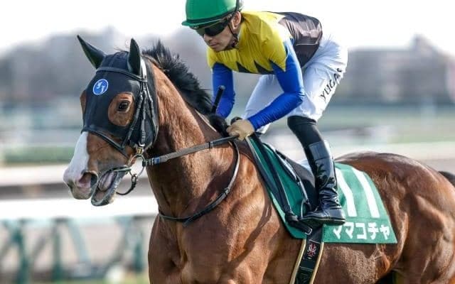秋競馬が開幕！紫苑S・セントウルSなど4重賞/今週の競馬界の見どころ