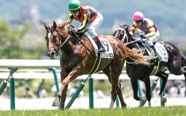 【札幌2歳S見どころ】良血ロスパレドネスの連勝に期待