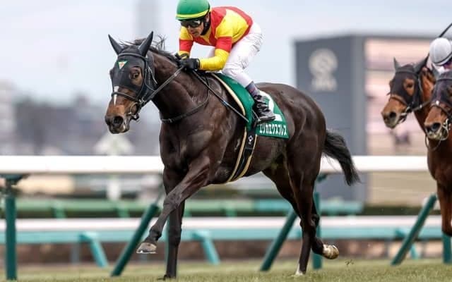 【京成杯AH見どころ】素質高い3歳牝馬エリカエクスプレスが巻き返す